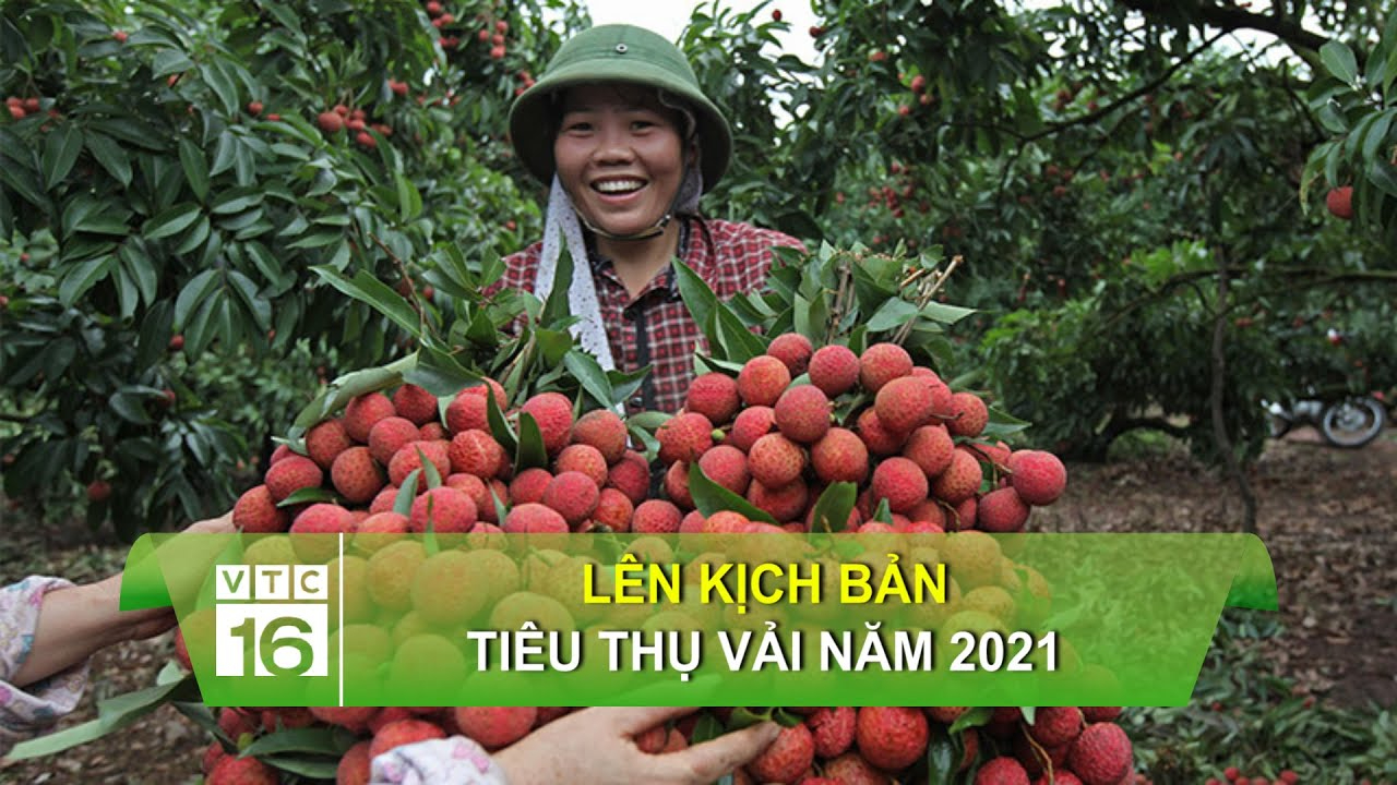 Học phí các trường Y Dược tăng cao trong năm 2025