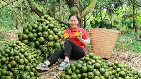 Xem trực tiếp đội tuyển Việt Nam đấu Werder Bremen trên kênh nào?