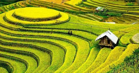 Thử thách Tiếng Việt: 'Giầy dép' hay 'giày dép'?